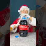 I helped Santa Claus