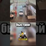 Спасли охранника