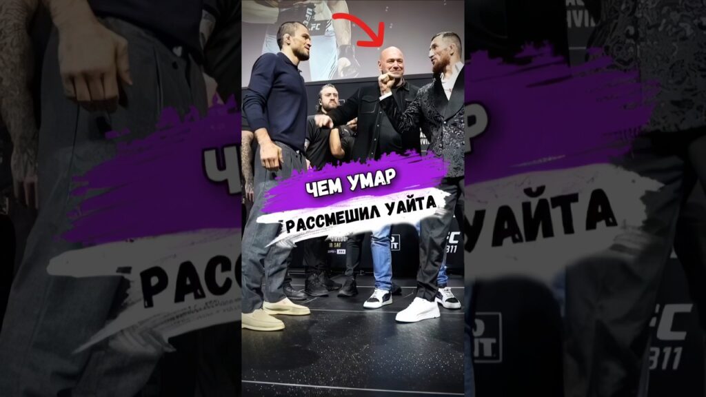 Чем УМАР НУРМАГОМЕДОВ РАЗВЕСЕЛИЛ ДАНУ УАЙТА #мма