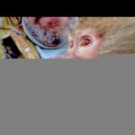 Люся В ШОКЕ! Первое знакомство с будущим МУЖЕМ состоялось,выражение Люсиного лица НАДО ВИДЕТЬ)))