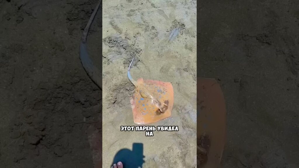 Неожиданная находка 😮