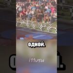 Кто из свинок быстрее?