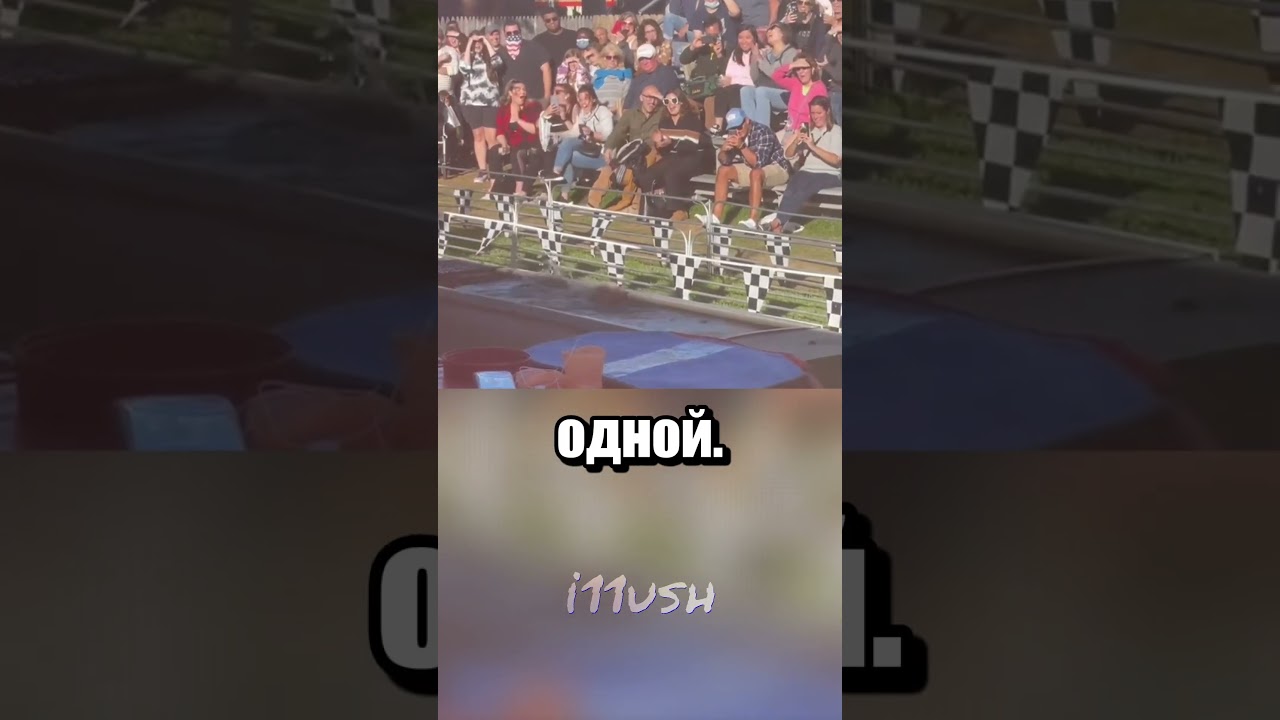 Кто из свинок быстрее?
